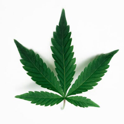 Access Specialist Prescription Treatments